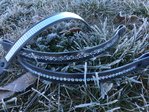 Dressage Bands Mk2