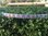 Christmas Browbands