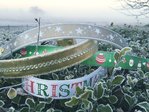 Christmas Browbands
